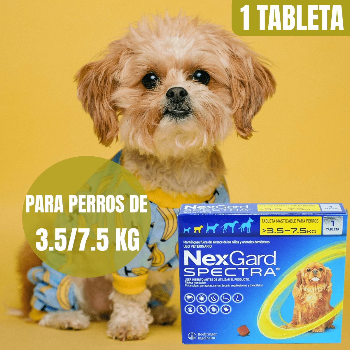 NEXGARD ANTIPULGAS Y GARRAPATAS PARA PERROS - FridaPets - Perro - Salud y bienestar - FridaPets
